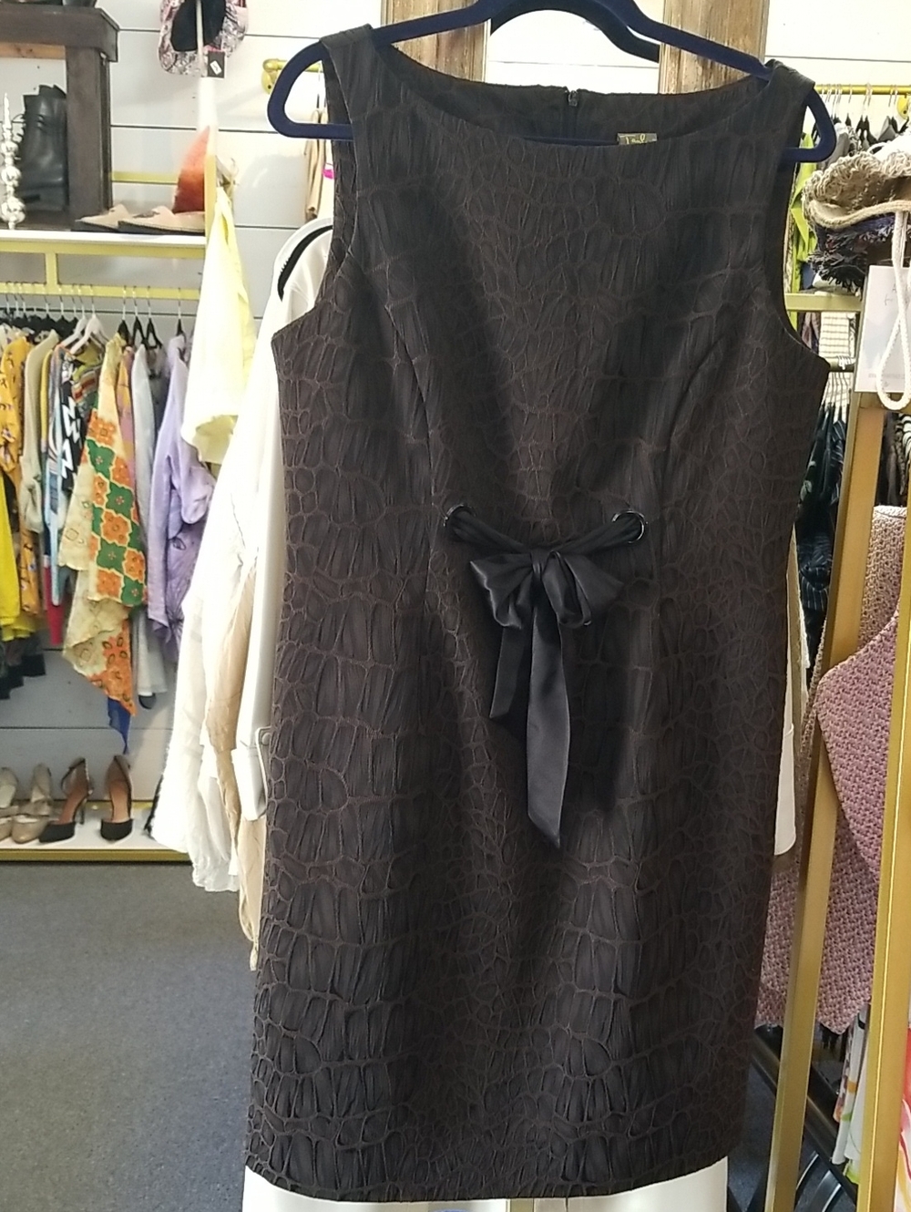 Taylor Brown Textured Sleeveless Dress with Satin Bow